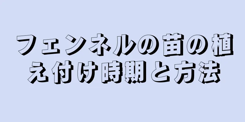 フェンネルの苗の植え付け時期と方法