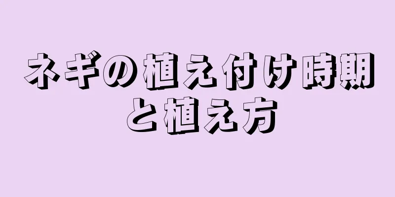ネギの植え付け時期と植え方