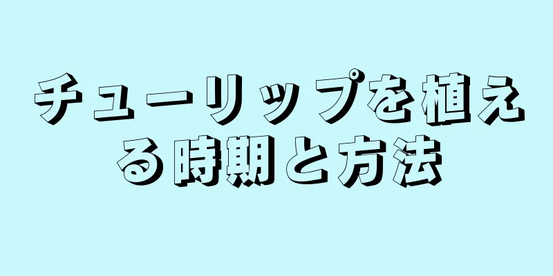チューリップを植える時期と方法