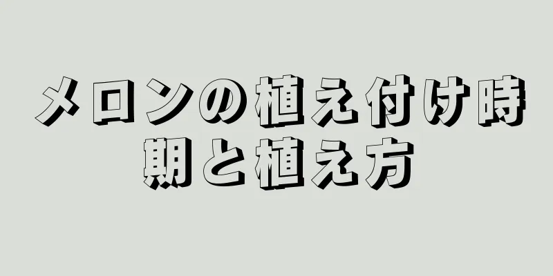 メロンの植え付け時期と植え方