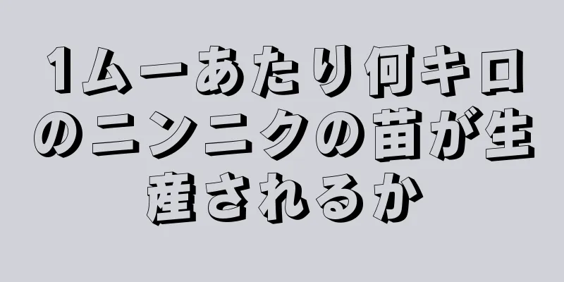 1ムーあたり何キロのニンニクの苗が生産されるか