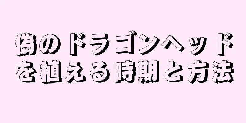 偽のドラゴンヘッドを植える時期と方法
