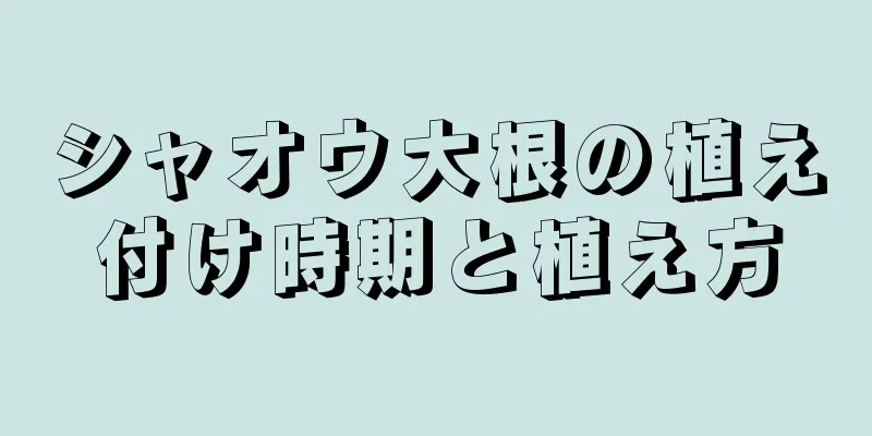 シャオウ大根の植え付け時期と植え方
