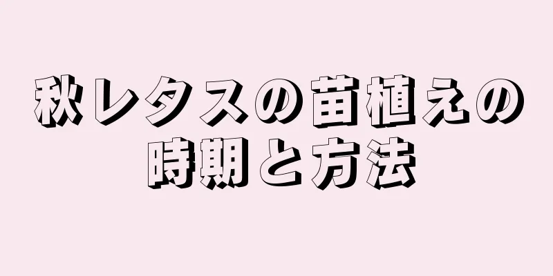 秋レタスの苗植えの時期と方法