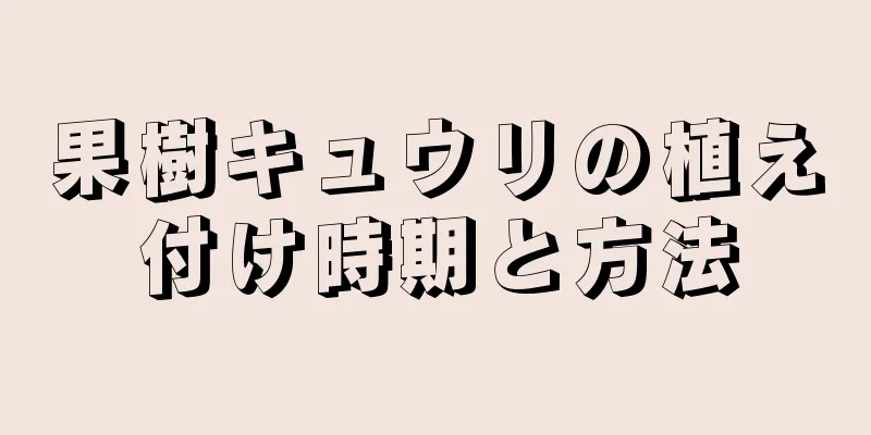 果樹キュウリの植え付け時期と方法
