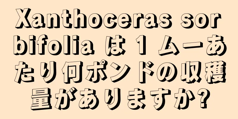 Xanthoceras sorbifolia は 1 ムーあたり何ポンドの収穫量がありますか?