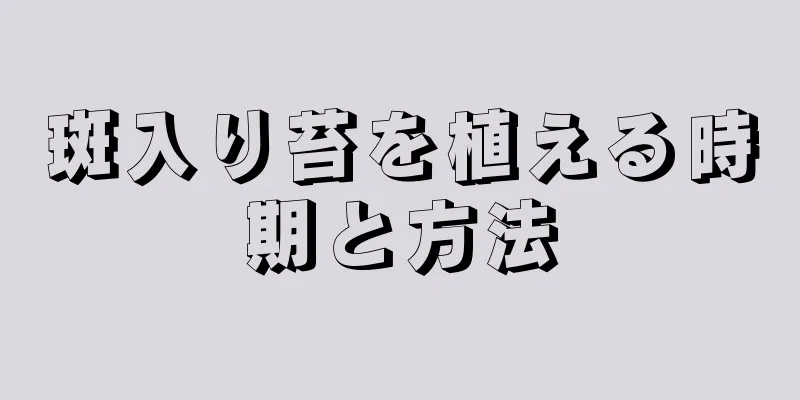 斑入り苔を植える時期と方法