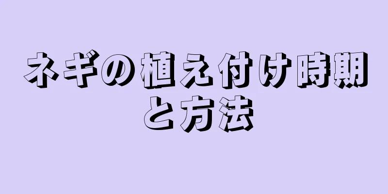 ネギの植え付け時期と方法