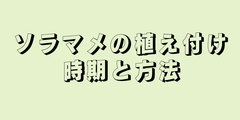 ソラマメの植え付け時期と方法