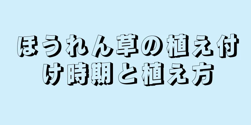 ほうれん草の植え付け時期と植え方