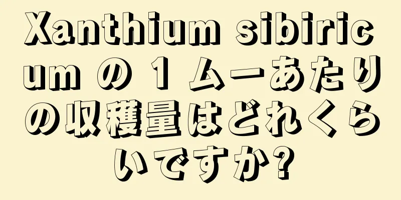 Xanthium sibiricum の 1 ムーあたりの収穫量はどれくらいですか?