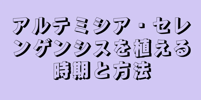 アルテミシア・セレンゲンシスを植える時期と方法