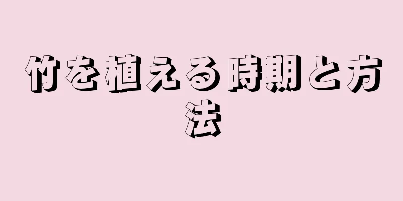 竹を植える時期と方法