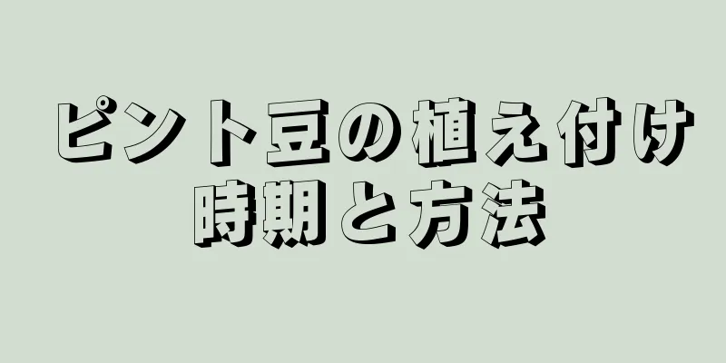 ピント豆の植え付け時期と方法