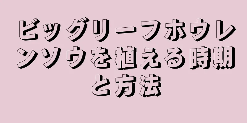 ビッグリーフホウレンソウを植える時期と方法