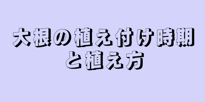 大根の植え付け時期と植え方