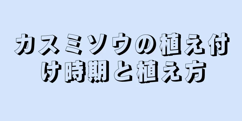 カスミソウの植え付け時期と植え方