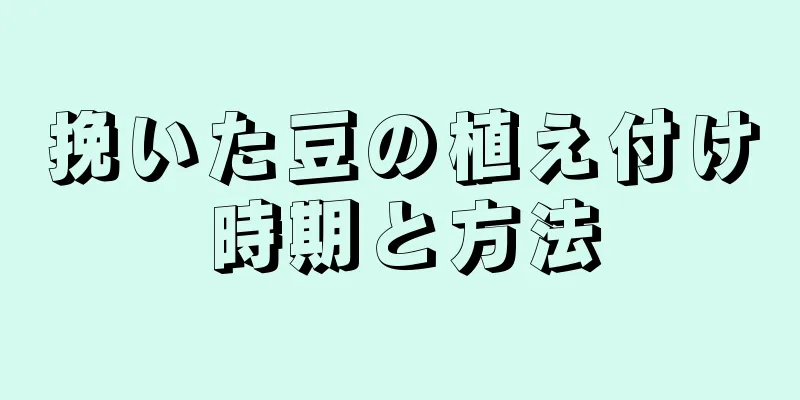 挽いた豆の植え付け時期と方法