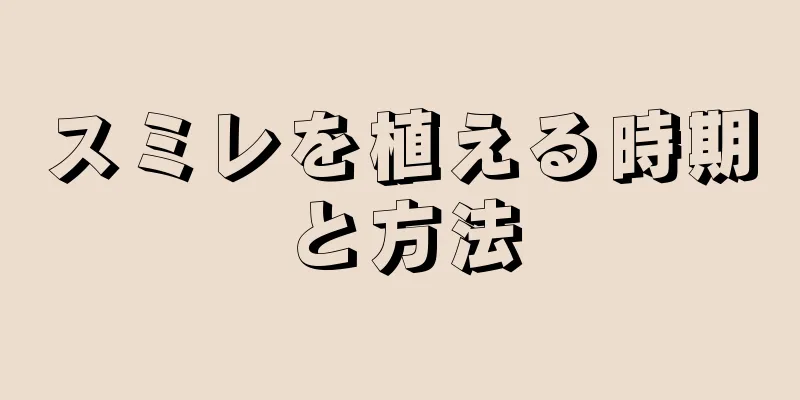 スミレを植える時期と方法