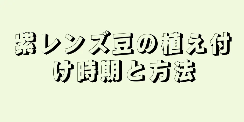 紫レンズ豆の植え付け時期と方法