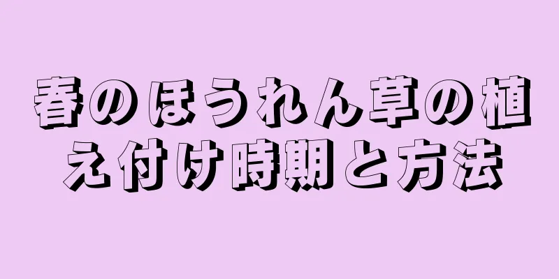 春のほうれん草の植え付け時期と方法