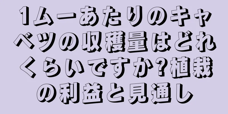 1ムーあたりのキャベツの収穫量はどれくらいですか?植栽の利益と見通し