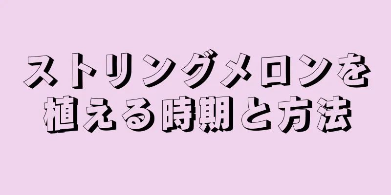 ストリングメロンを植える時期と方法