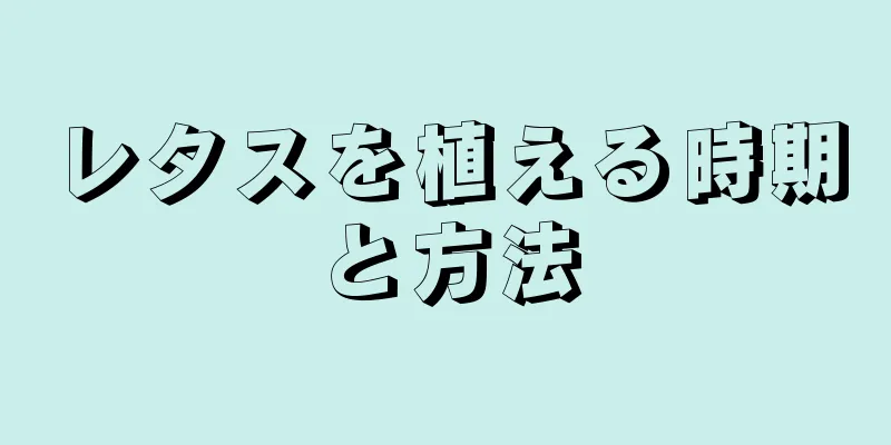 レタスを植える時期と方法