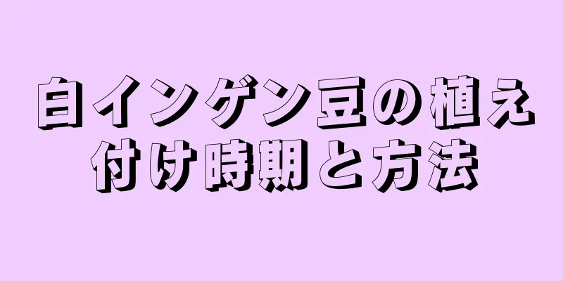 白インゲン豆の植え付け時期と方法