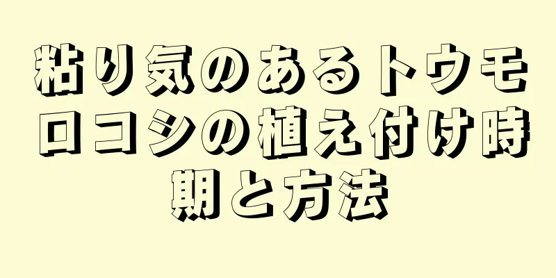 粘り気のあるトウモロコシの植え付け時期と方法