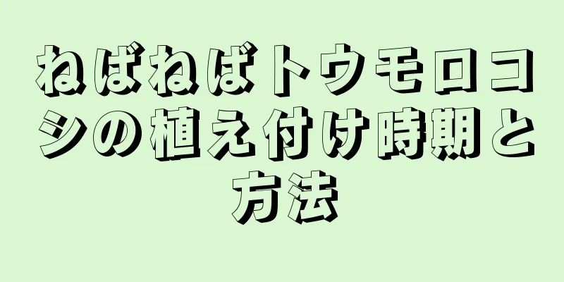ねばねばトウモロコシの植え付け時期と方法