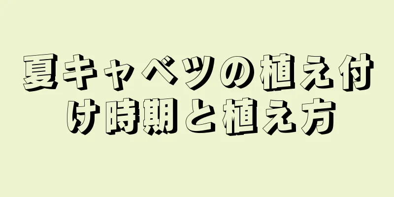 夏キャベツの植え付け時期と植え方