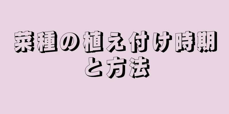 菜種の植え付け時期と方法