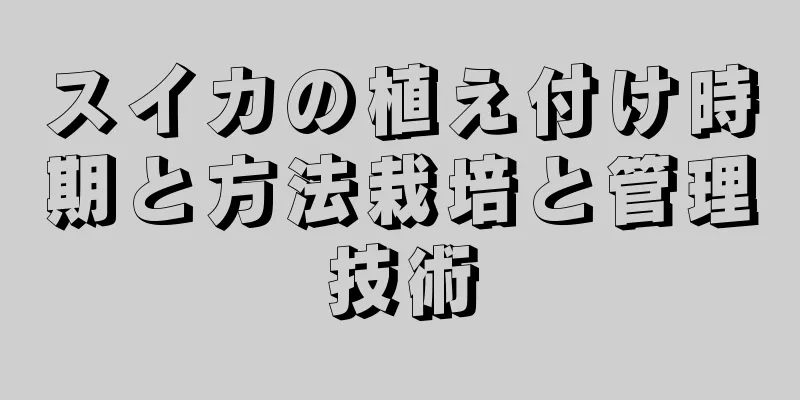 スイカの植え付け時期と方法栽培と管理技術