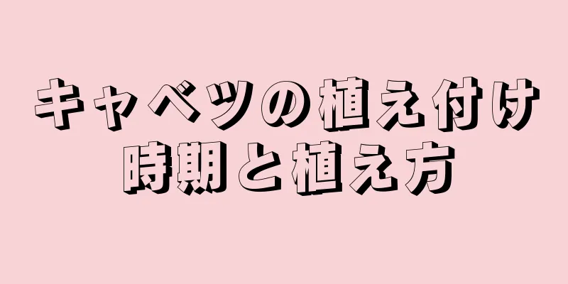 キャベツの植え付け時期と植え方