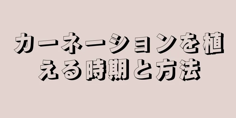 カーネーションを植える時期と方法