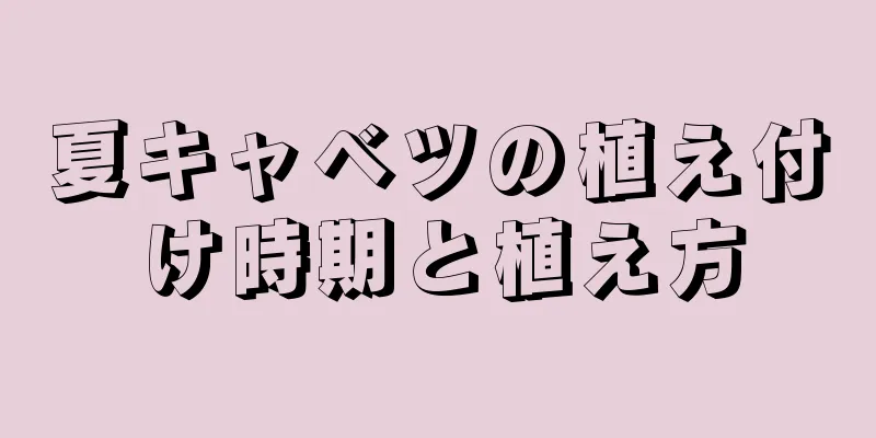 夏キャベツの植え付け時期と植え方