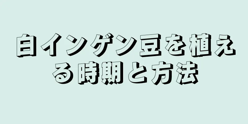 白インゲン豆を植える時期と方法