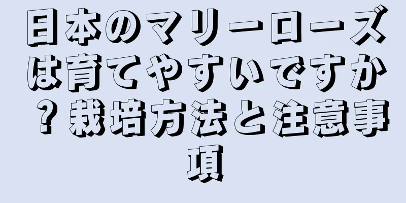 日本のマリーローズは育てやすいですか？栽培方法と注意事項