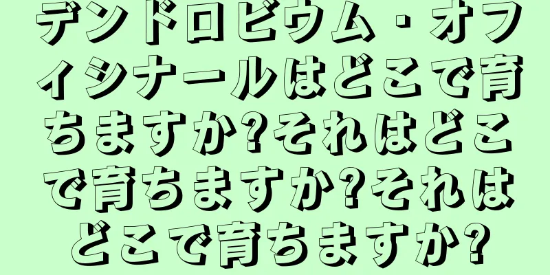 デンドロビウム・オフィシナールはどこで育ちますか?それはどこで育ちますか?それはどこで育ちますか?