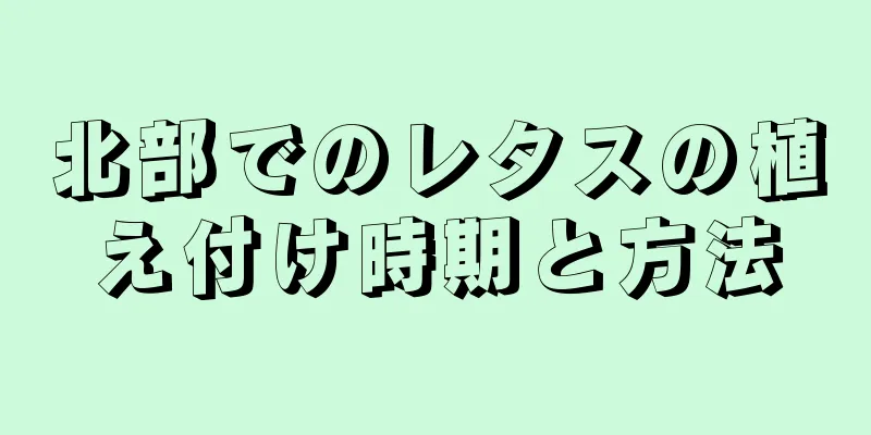 北部でのレタスの植え付け時期と方法