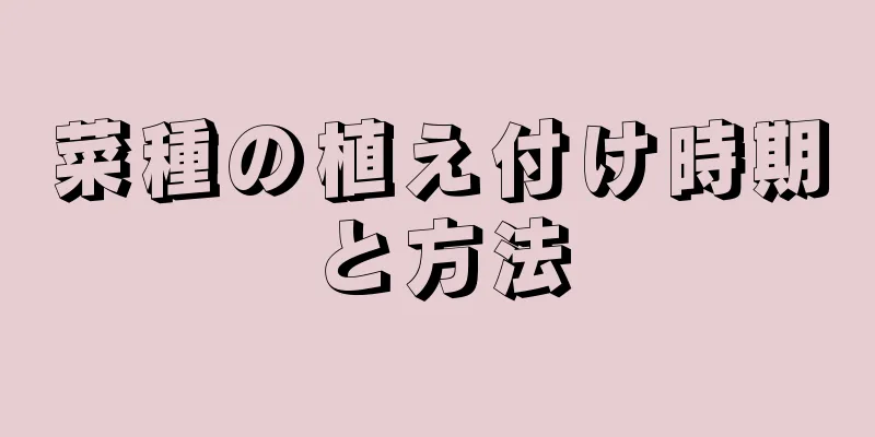 菜種の植え付け時期と方法