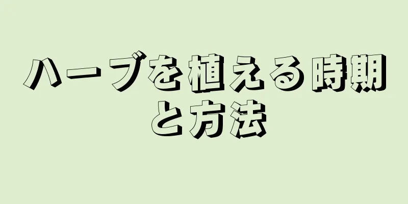 ハーブを植える時期と方法