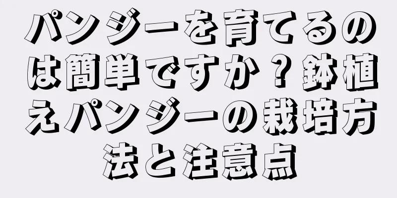 パンジーを育てるのは簡単ですか？鉢植えパンジーの栽培方法と注意点