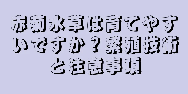 赤菊水草は育てやすいですか？繁殖技術と注意事項