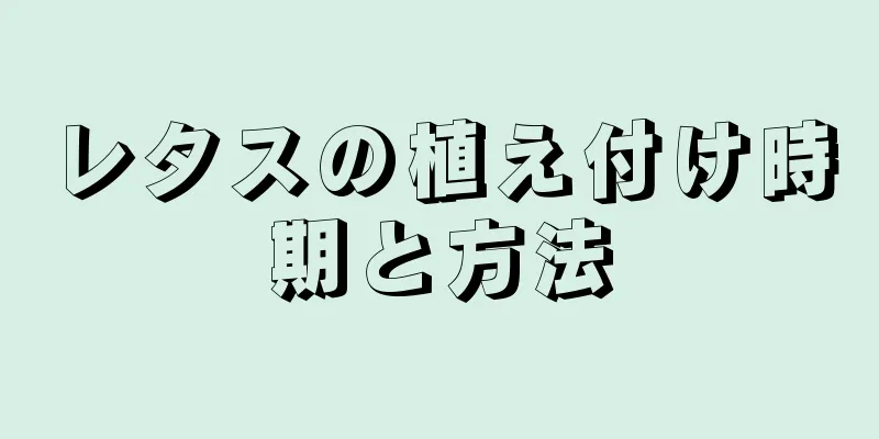 レタスの植え付け時期と方法