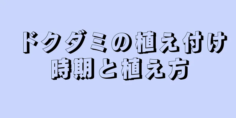 ドクダミの植え付け時期と植え方