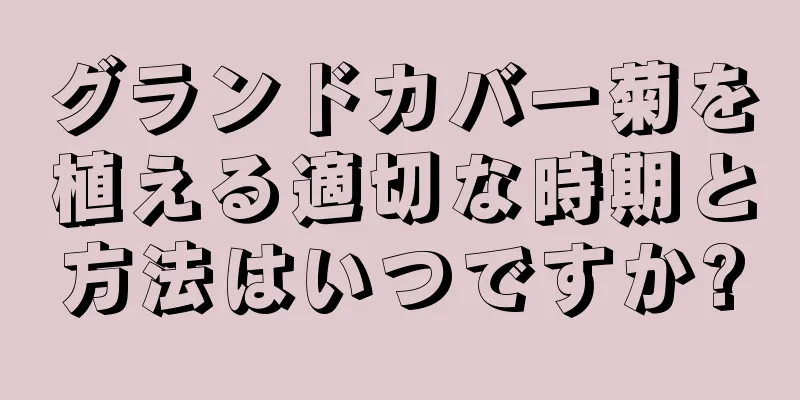 グランドカバー菊を植える適切な時期と方法はいつですか?