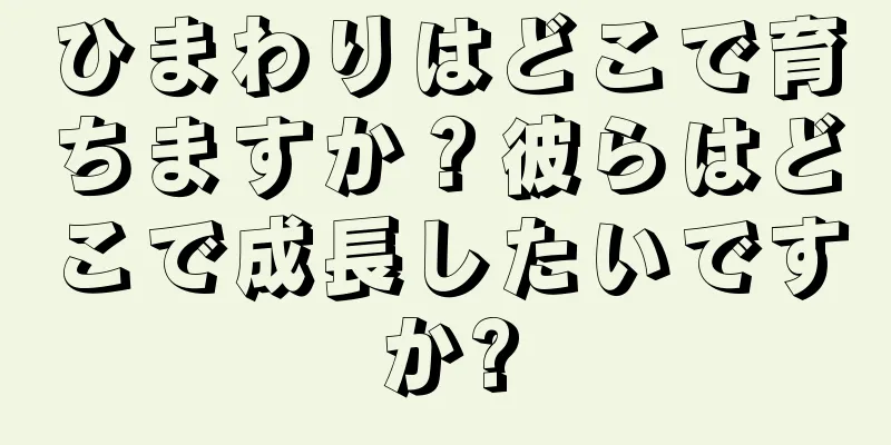 ひまわりはどこで育ちますか？彼らはどこで成長したいですか?