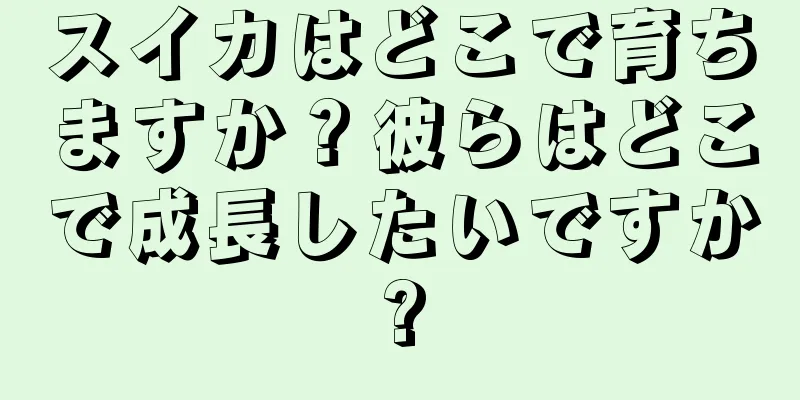 スイカはどこで育ちますか？彼らはどこで成長したいですか?